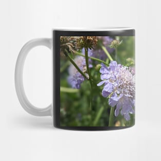 Bees Eye View 1 Mug